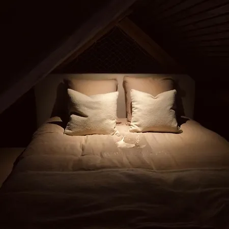 Daire Meunier, Tu Dors